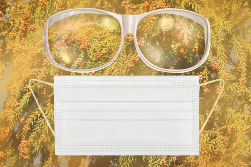 マスク70％・メガネ40％の花粉をカット