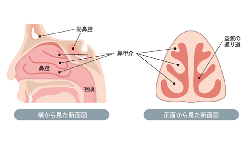 なぜ効く？点鼻薬 鼻づまりの原因と点鼻薬